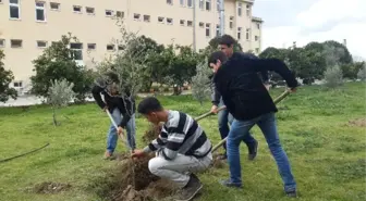 Jandarma, 175. Yaşını Fidan Dikerek Kutladı