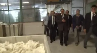 Bakan Eroğlu, İhsaniye'de -