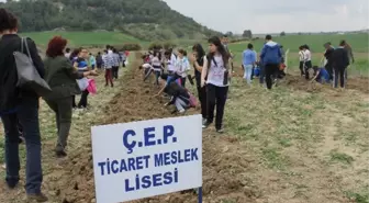 Çep Ticaret Meslek Lisesi Öğrencileri Hatıra Ormanında Fidanlar Can Buldu