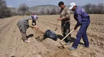 Isparta'ya Alternatif Ürün: Ahu Dudu