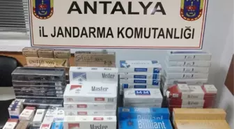 Jandarmadan Kaçak Sigara Operasyonu