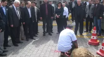 Başkan Dede'den Veda Kurbanı