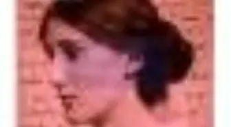 Bir Yazarın Günlüğü Kitabı