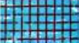 Diktacı Tutum ve Demokrasi Kitabı Çıktı