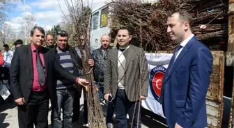 Doğu Makedonya'da Meyveciliğin Geliştirilmesine Destek