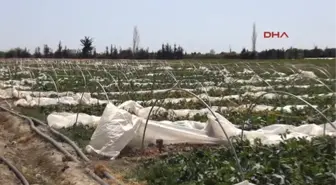 Fırtına, Mersin'de Seraları Vurdu