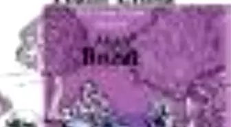 Ham Elma Kitabı Çıktı