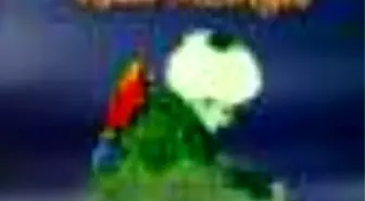 Cem Sultanın Papağanı Kitabı Raflarda