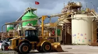 Koza Altın, İngiltere'ye Gidiyor