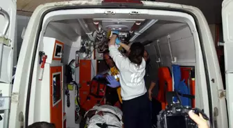 Mardin'de Silahlı Kavga