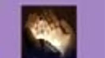 Kısa Sureler ve Günlük Dualar Kitabı Çıktı