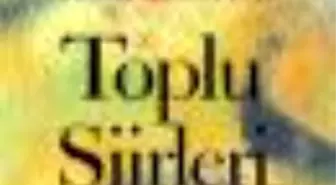 Toplu Şiirleri Kitabı Çıktı