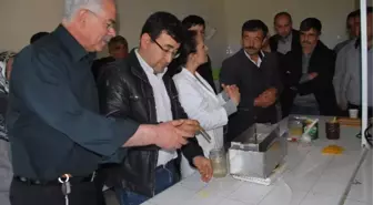Aydın'da Arıcılara 'Ana Arı Yetiştiriciliği ve Arı Sütü Üretimi' Kursu Veriliyor