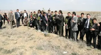 Kulu'da 304 Şehit Anısına Fidan Dikildi