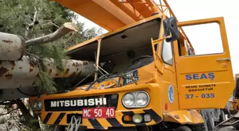 Manisa'da İş Makinesi Yoldan Çıktı: 3 Yaralı