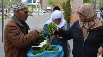 Geçimini Topladığı Bitkileri Satarak Sağlıyor
