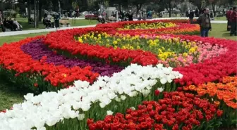 Lale Festivali'nde Bisiklet ve Paten Şov Nefes Kesti