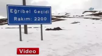 Doğu Karadeniz'in 2. En Uzun Tüneli Eğribel'e Yapılacak