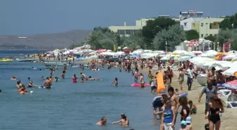 Avşa Adası Mahalle Oldu, Muhtar Kara Kara Düşünüyor