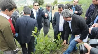 Orman Bölge Müdürlüğü, Çamlıyayla'da Yeşil Altın Semineri Düzenledi