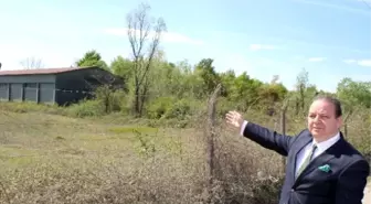 Çarşamba'nın Kaderini Değiştirecek Proje