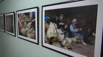 PANAF'ın 'Pancardan Pekmez' Fotoğraf Sergisine İlgi Büyüktü