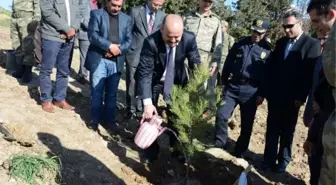 Siirt Valisi Aydın, Mehmetçik ile Birlikte Fidan Dikti