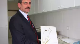 Saü'lü Doç. Dr. Sağıroğlu, Yeni Bir Bitki Türü Keşfetti