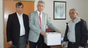 Yaralı Kerkenez Koruma Altına Alındı