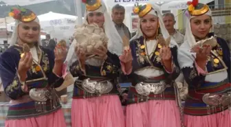 Muğla'da Mantar Festivali Düzenlenecek