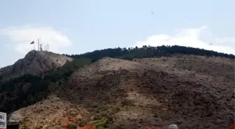 Kayalık Tepe Toprak Taşınarak Ağaçlandırılacak