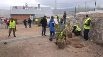 Sarıkamış'ta Cami Bahçeleri Ağaçlandırılıyor