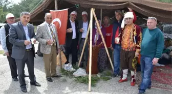 Gülnar'da Çağla Festivali