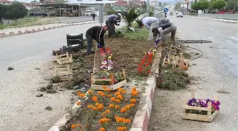 Köprübaşı Çiçekleniyor