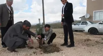 Varto'da Kutlu Doğum Etkinliklerinde Ağaçlandırma Çalışması