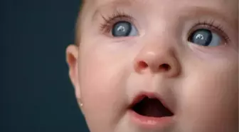 2013 Yılının Favorisi Mehmet Zeynep İsimleri Oldu