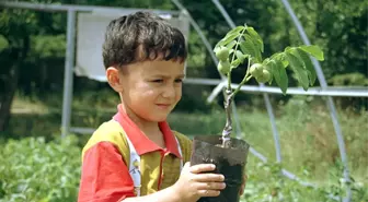 Altındağlı 200 Öğrenciden 200 Fidan