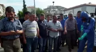 Aydın'da Biyosidal Ürün Uygulayıcı Eğitimi Verilecek