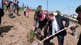 Jandarma Ağabeyleri ile Fidan Diktiler