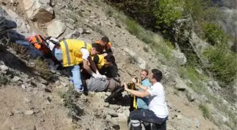 'Çaşur' Toplarken Canından Oldu