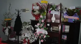 Varto Belediye Başkanı Makamı Çiçek Bahçesine Dönüştü