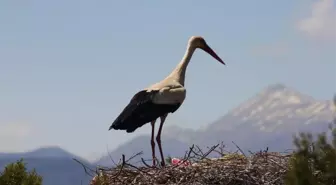 Doğa Yürüyüşleri Grubu Leylekler Vadisi'nde