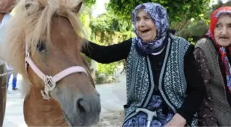 Gaziantepli Yaşlılar Hatay'ı Gezdi