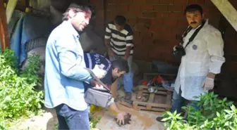 İznik'te Kaybolan Çiftin Ceset Parçaları Bulundu