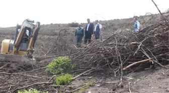 Yanan Sahalar Yeniden Ağaçlandırılacak