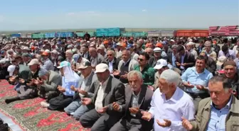 Beyşehir'de Çiftçi Yağmura Rağmen Duaya Çıkmayı Sürdürüyor