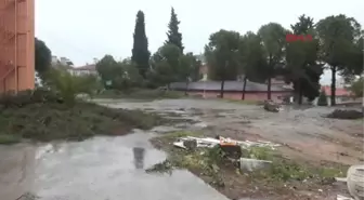 Hastane Bahçesinde Ağaç Kesilmesine Tepki