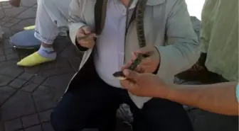 Rektör Yılanları Boynuna Doladı
