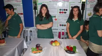 Tübitak Bilim Fuarı Sanatla Renklendi