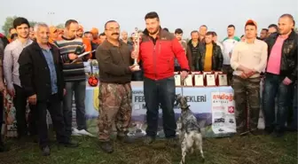 Adapazarı Belediyesi Fermalı Köpeklerde Rekor Kırdı